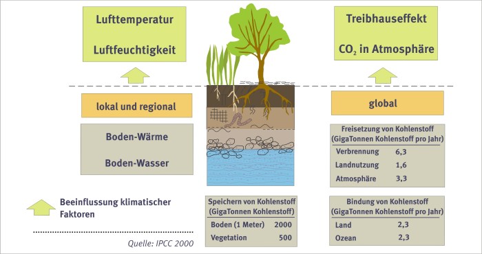 Wie kann eine Landschaft das Klima beeinflussen?