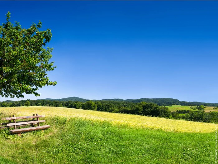 Welche Vorteile bietet eine Landschaft?