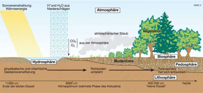 Wasserkreislauf der für