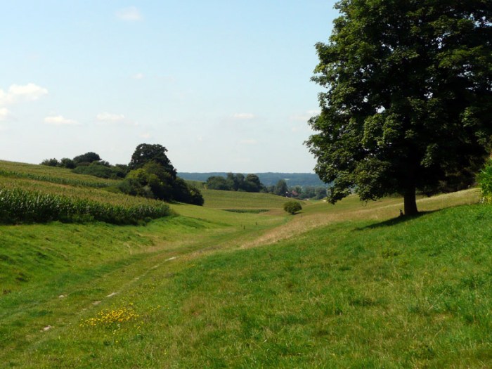 Welche Bedeutung hat eine Landschaft für die Kultur?