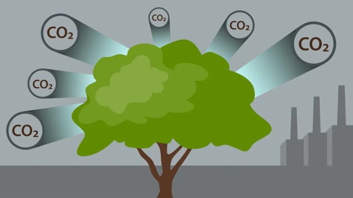 Ökosystem und Klimawandel