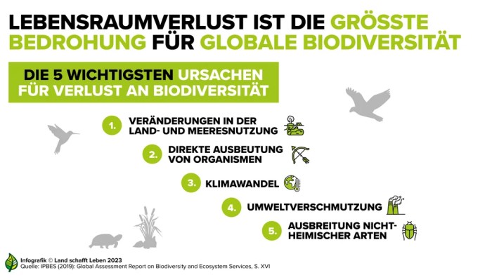 Ökosystem und Landnutzung