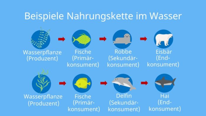 Ökosystem und Nahrungsmittelsicherheit