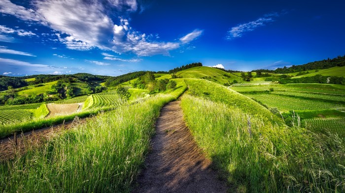 Welche Vorteile bietet eine Landschaft?