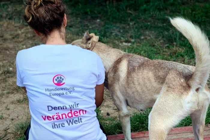 Tierschutz für Haustiere