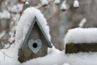 Vogelhaltung im Winter: Herausforderungen meistern, Wohlbefinden sichern