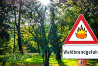 Waldbrände vorbeugen: Schutz unserer Wälder vor Zerstörung