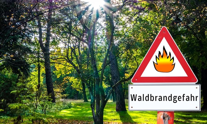 Waldbrände vorbeugen