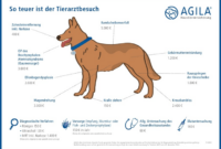 Haustierversicherung Vergleich: Schützen Sie Ihr geliebtes Haustier vor finanziellen Risiken