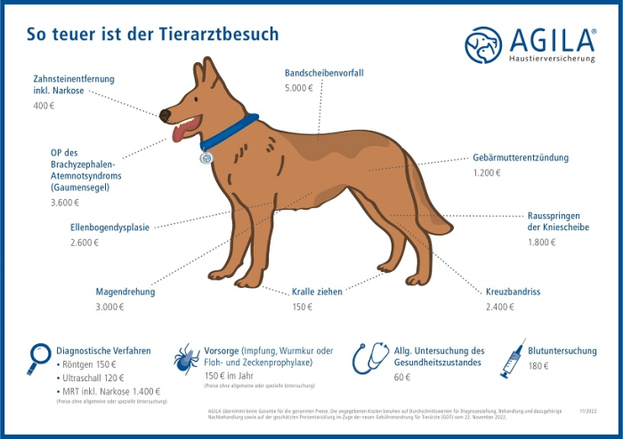 Haustierversicherung Vergleich