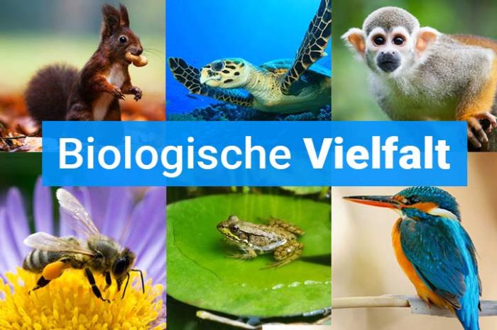 Ökosystem und biologische Vielfalt