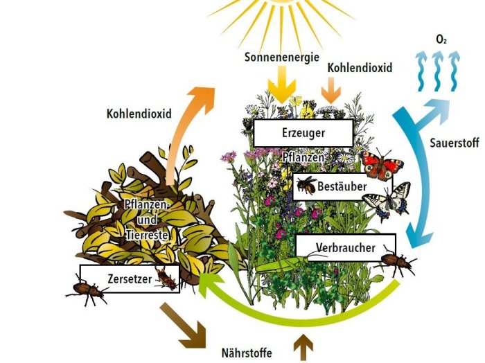 Ökosystem und biologische Vielfalt