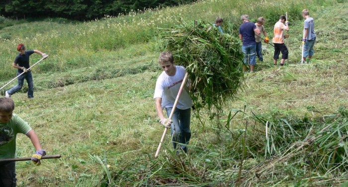 Welche Möglichkeiten zur Landschaftspflege gibt es?