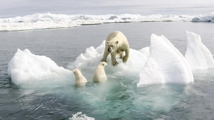 Klimawandel entstehung treibhauseffekt folgen atmosphäre sonnenstrahlen ursachen verstärkt