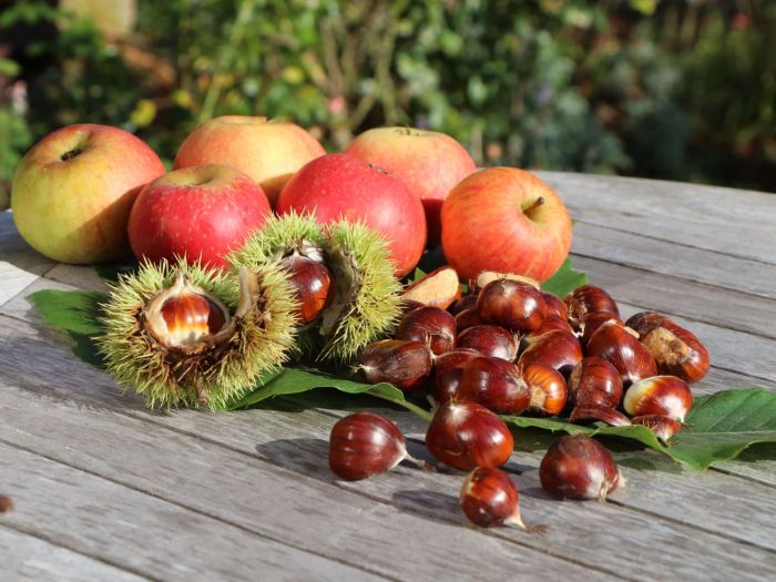 Pflanzen, die essbare Früchte tragen