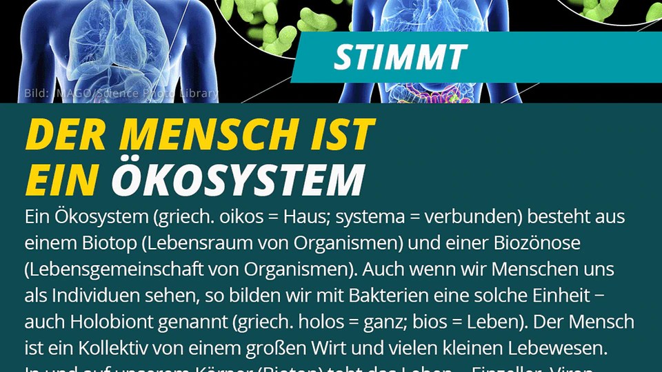 Ökosystem und menschliche Gesundheit