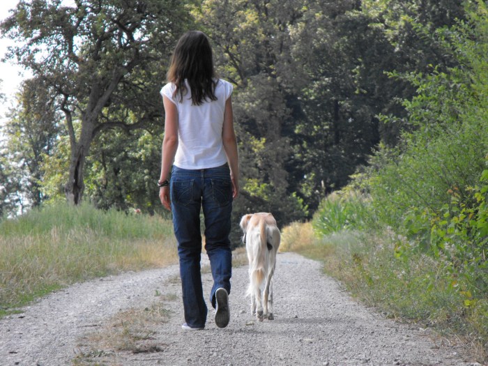 Hundetraining ohne Leine