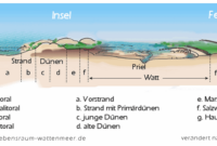 Welche Faktoren formen unsere Landschaften?