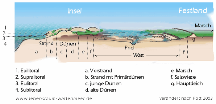 Kita faktoren kitas beeinflussen relation fachkraft kind rund alltag spürbar