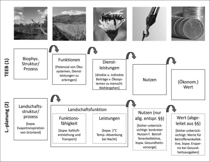 Welche Vorteile bietet eine Landschaft?