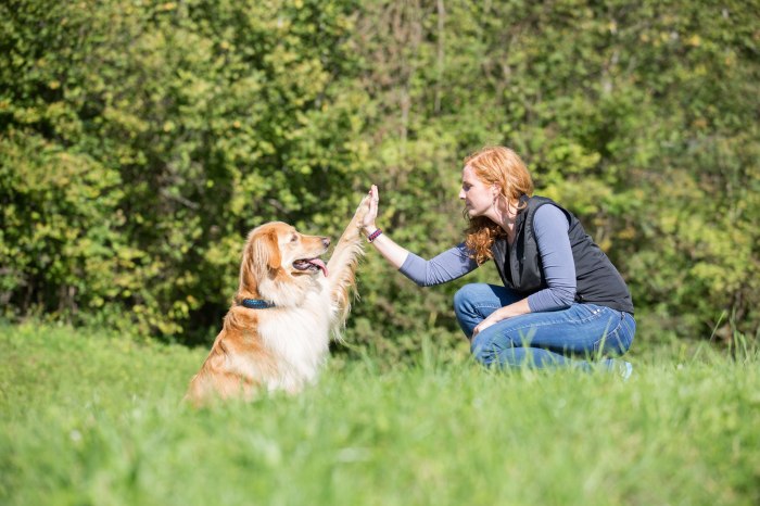 Tiere als Therapie