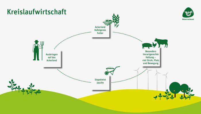 Ökosystem und Bodengesundheit