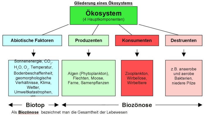 Ökosystem und biologische Vielfalt