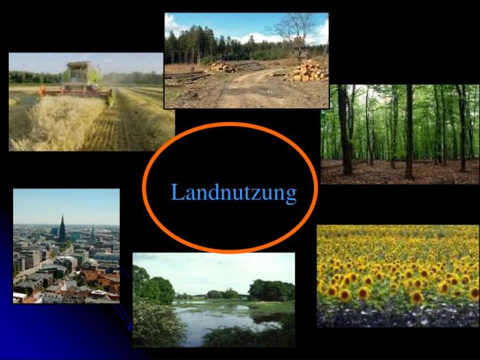 Ökosystem und Landnutzung