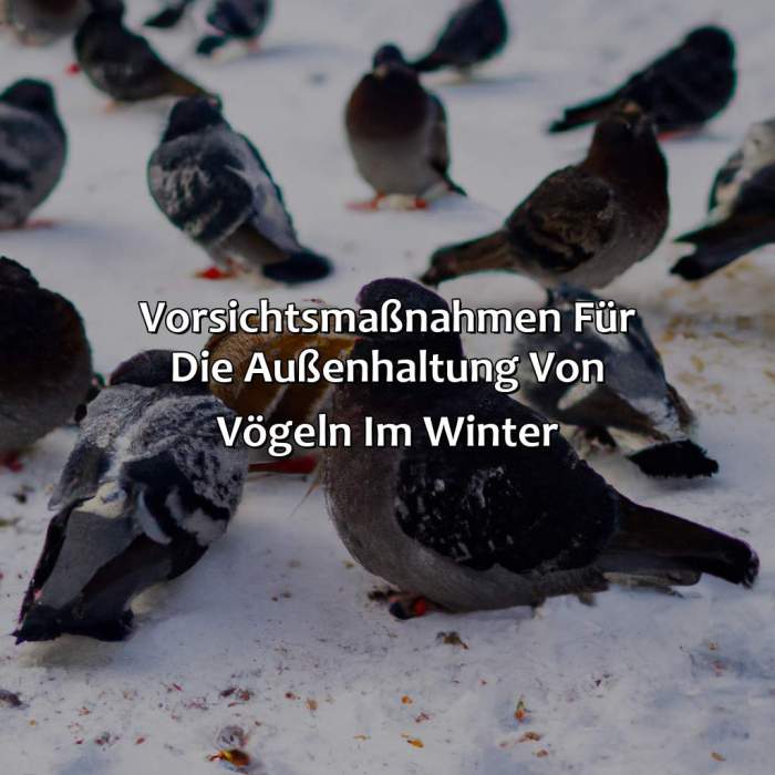 Vogelhaltung im Winter