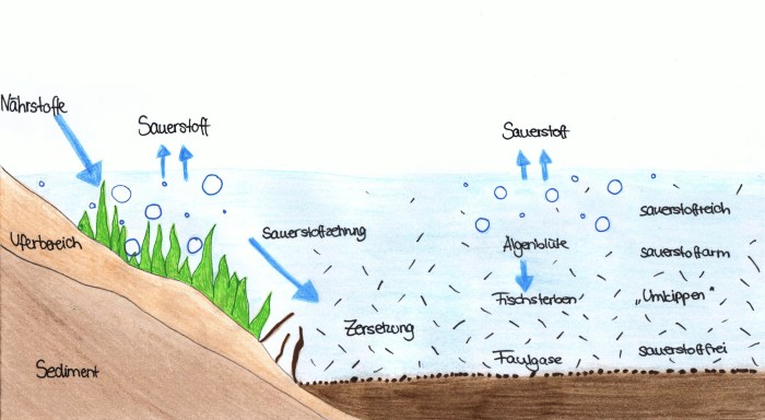 Ökosystem und Wasserressourcen